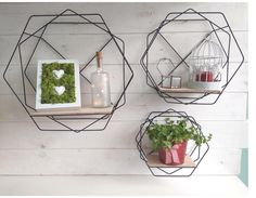 two metal shelves with plants and pictures on them, one is holding a wine bottle