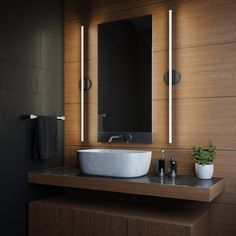 a bathroom with a sink, mirror and plant on the counter in front of it