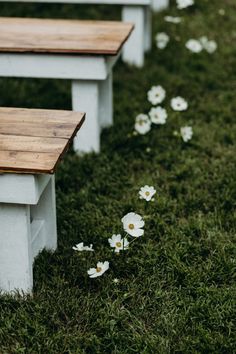 three wooden benches sitting in the grass with daisies around them and flowers on the ground