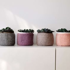 three potted plants sitting on top of a white shelf