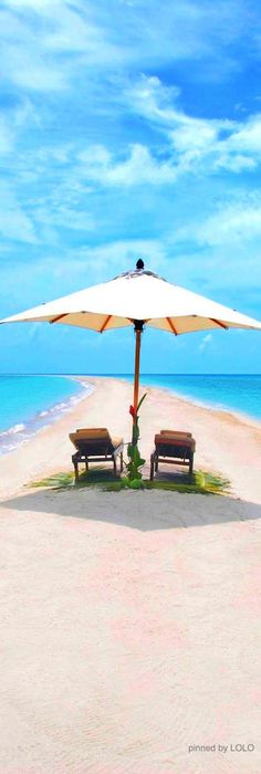 two benches under an umbrella on the beach