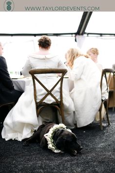 a dog laying on the ground in front of some people at a table with flowers