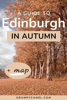 autumn trees with text overlay that reads a guide to edinburgh in autumn and map