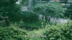 an image of rain coming down from the sky over some trees and bushes in front of a building