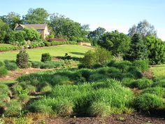 a lush green hillside covered in lots of trees and bushes next to a house on top of a hill