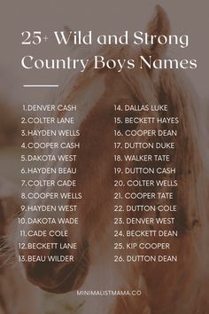 the 25 wild and strong country boys names are shown in this poster, which includes an image of a horse's head