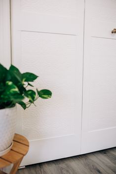 a potted plant sitting in front of a white door