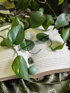 an open book with glasses on top of it next to some green leafy plants