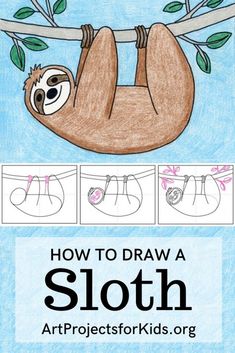 how to draw a sloth on a tree branch with instructions for drawing the sloth