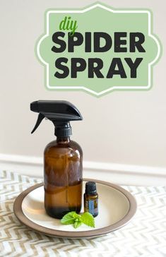 a bottle of spider spray sitting on top of a plate