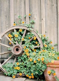 an old wagon wheel with flowers growing out of it next to a potted plant