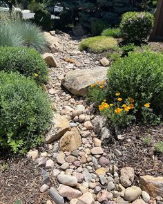 a garden with rocks and flowers in it