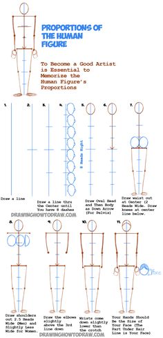 how to draw the human figure with this step - by - step drawing guide for beginners