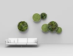 a white couch sitting in front of a wall mounted with green plants on it's sides