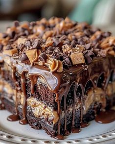 a piece of cake on a white plate with chocolate drizzles and nuts