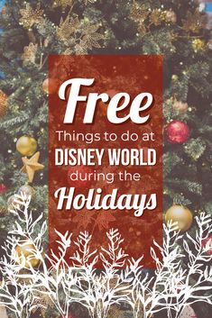 a christmas tree with the words free things to do at disney world during the holidays