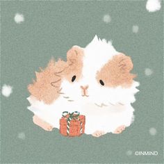 a brown and white hamster holding a present box