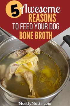 a pot filled with bone broth and the words 5 awesome reason to feed your dog bone broth