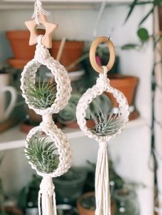 three macrame balls with plants hanging from them and one has a wooden star on the top