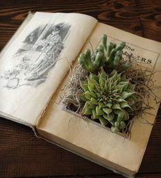 an open book with some plants in it