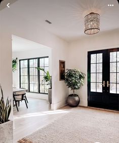 a living room filled with furniture and a large plant in the middle of the room