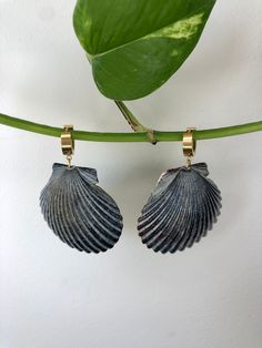 Our solid black scallop earrings vary if you look closely. They're the chicest version of "beachy". Shell length: 1 3/4" Earring base: stainless steel, gold plated *Shells are all different and may vary slightly Black Hoop Earrings For Summer Gift, Black Drop Earrings For Summer, Black Dangle Jewelry For Beach, Scallop Shell, Scallop Shells, Shell Earrings, Earrings Jewelry, Earring Necklace, Body Jewelry