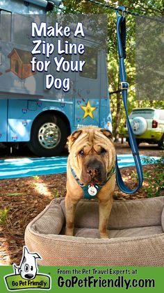 a dog on a leash standing in front of a blue bus with the words make a zip line for your dog