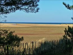 an open field with trees and the ocean in the backgrounnd, taken from behind a wooden fence