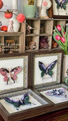 three framed butterflies are on display in front of bookshelves and vases with tulips