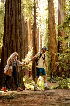 two people are walking through the woods holding hands