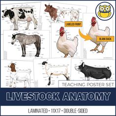 an image of livestock poster set