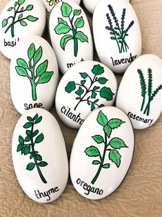 six painted rocks with plants on them and the names of each plant in different languages