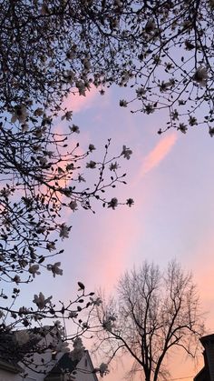 the sky is pink and blue with white flowers on it, as seen from below