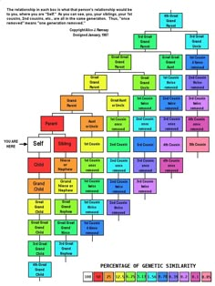 the structure of an organization chart with different colors and numbers on it, including words