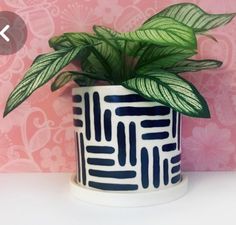 a potted plant sitting on top of a white table next to a pink wall