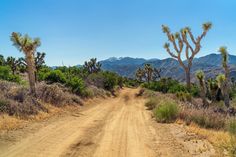 Views of Sand to Snow National Monument Iconic Landmarks, Hidden Gems, Travel Usa, Travel Inspiration, Monument, Bucket List, Natural Beauty, Gems