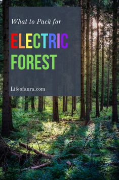 a forest with the words what to pack for electric forest