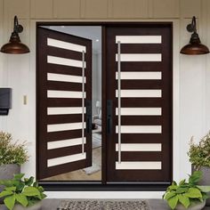 two potted plants sit on the ground in front of a brown door with vertical blinds