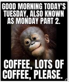 a monkey with the caption coffee, lots of coffee please