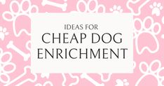 Big Fun on a Small Budget: Cheap Dog Enrichment Ideas - Enrich Your Dog's Life Bred 4, Frozen Dog, Fun Brain