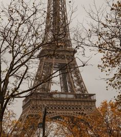 the eiffel tower is surrounded by trees and branches in autumn time, with yellow leaves on the ground