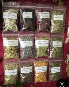 Beginner Witches, Lilin Aroma, Herbs List, Beginner Witch, Magickal Herbs, Witch Herbs, Magic Herbs, Magical Herbs, Herbal Apothecary