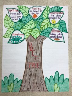 a drawing of a tree with leaves and words on it that spell out the names of different types of trees