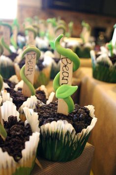 cupcakes decorated with green and white icing are on display in front of other cupcakes