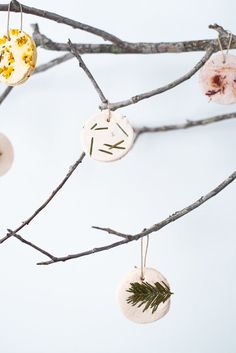 some ornaments hanging from a tree branch