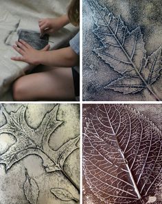 four different pictures of leaves with frost on them, and one showing the leaf's shape