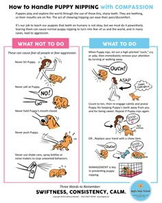 two posters showing how to do different things with dogs and cats in the same area