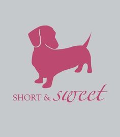 a pink dog with the word short and sweet on it's chest is standing in front of a white background