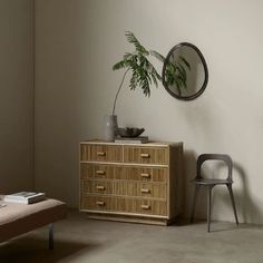 a plant is sitting on top of a dresser next to a chair and table in a room