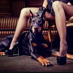 a woman in fishnet stockings and heels sitting on a chair with her black doberman dog